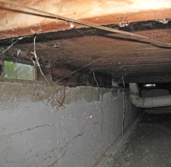 Crawl Space Water Removal in Princeton, TX