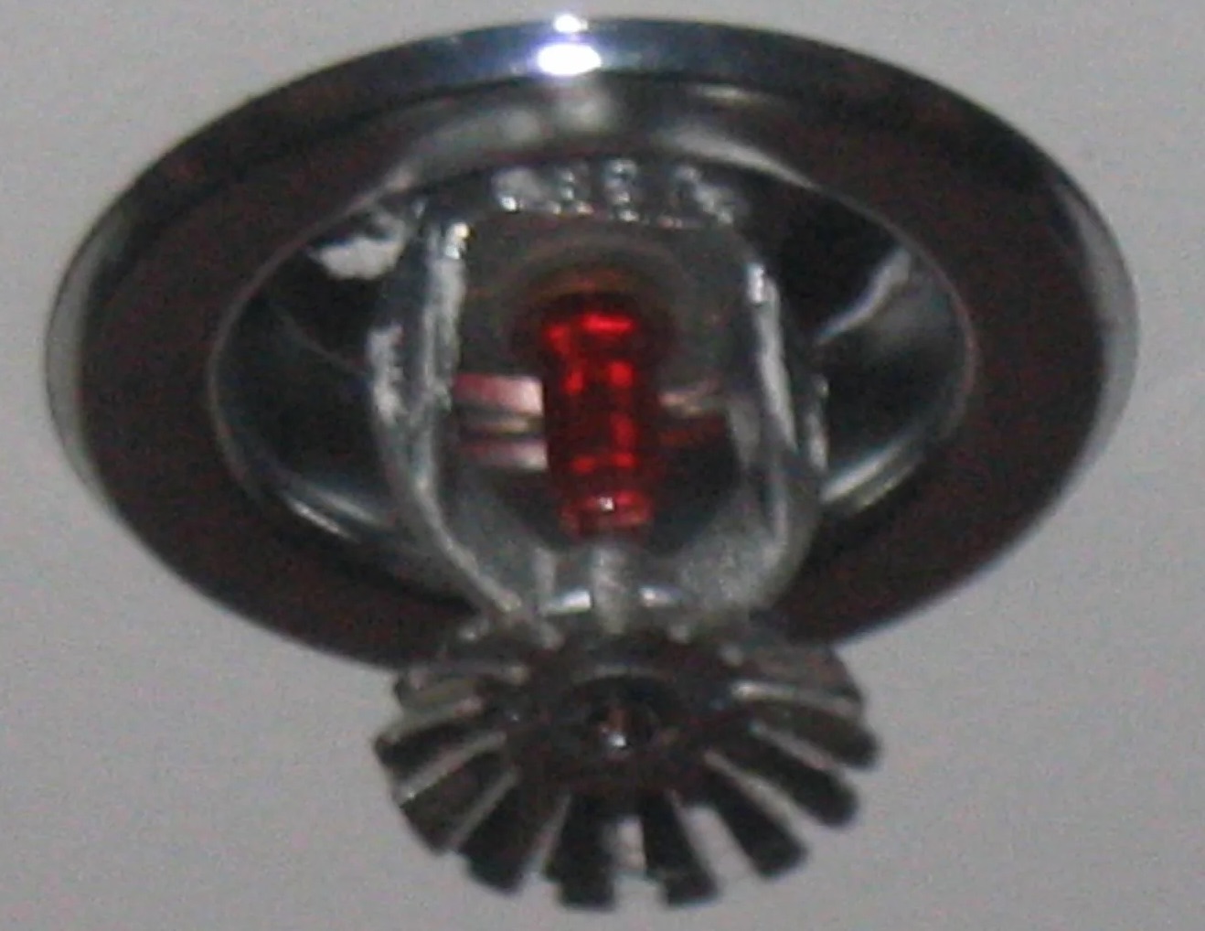 Fire Sprinkler Discharge Water Removal in Hurst, TX