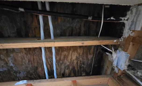 Attic Water Extraction in Carrollton, TX