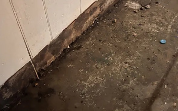 Black Water Extraction (Category 3) in Mansfield, TX