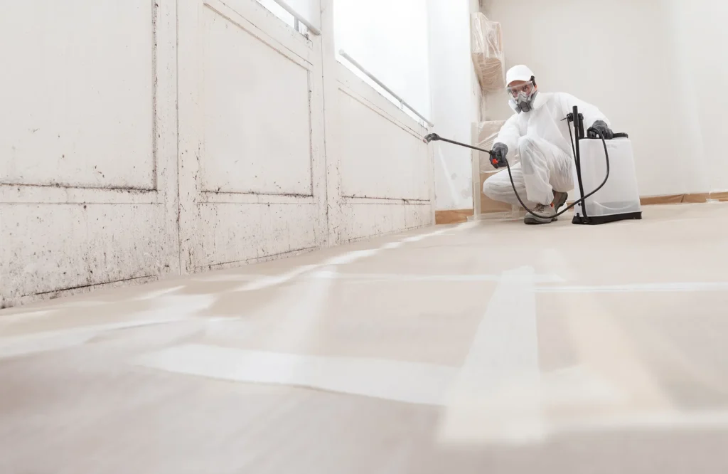 Professional Mold Prevention Services